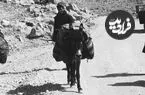 عکس| سفر زمان؛ سفر با «الاغ و اتومبیل» در جادۀ قزوین رشت؛ 91 سال قبل