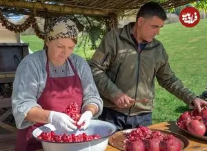 ببینید| غذای روستایی در آذربایجان؛ برداشت انار و تهیه آبمیوه و مربا با آن در روستایی کوهستانی
