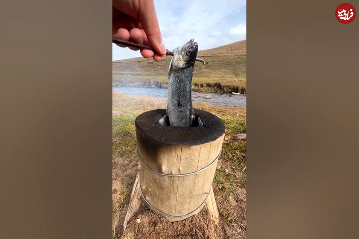 (ویدئو) یک ایده جالب و خلاقانه برای کباب کردن ماهی در طبیعت
