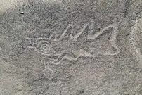 کشف یک میلیون اثر باستانی در آمریکای جنوبی با کمک هوش مصنوعی