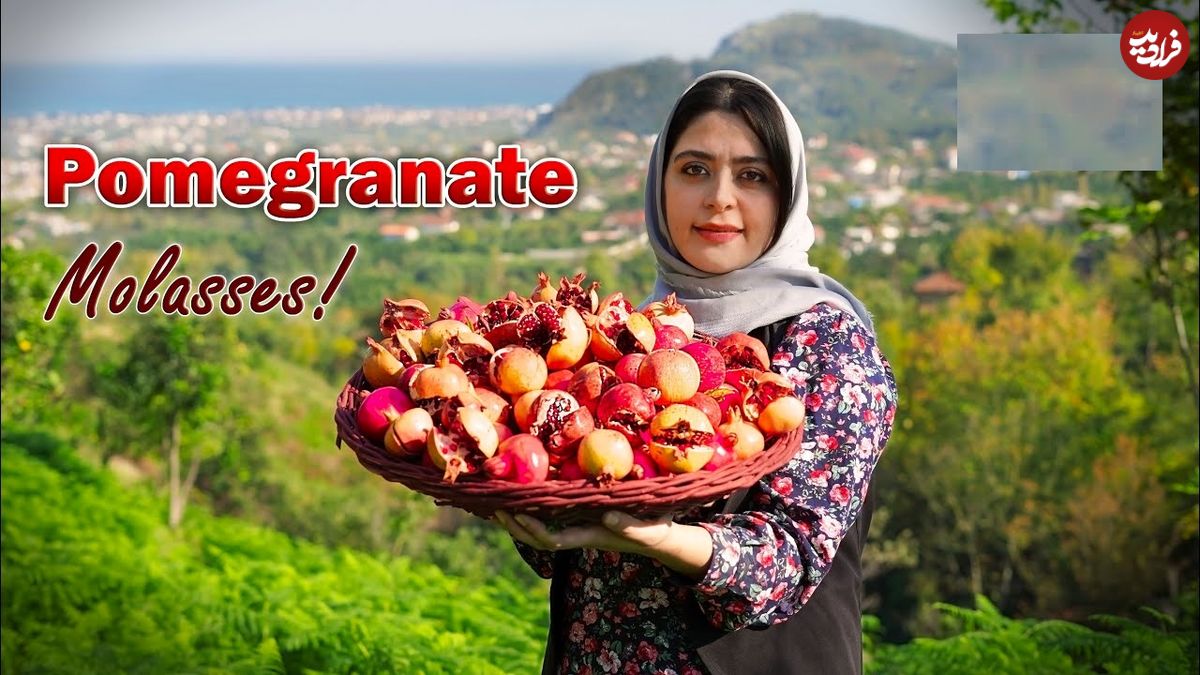 ببینید؛ غذای روستایی در ایران؛ برداشت انار ترش جنگلی و تهیه رب انار با آن ها