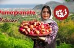 ببینید؛ غذای روستایی در ایران؛ برداشت انار ترش جنگلی و تهیه رب انار با آن ها
