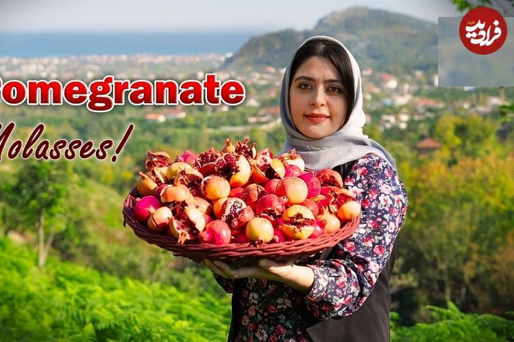 ببینید؛ غذای روستایی در ایران؛ برداشت انار ترش جنگلی و تهیه رب انار با آن ها