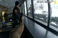 ببینید| سرقت ناموفق گوزن از بانک