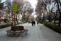 عکس| سفر به ایران قدیم؛ نمایی از خیابان «چهار باغ اصفهان» در زمان قاجار