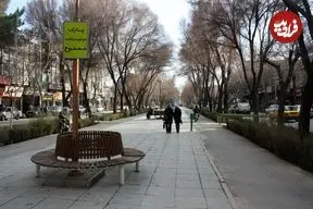 عکس| سفر به ایران قدیم؛ نمایی از خیابان «چهار باغ اصفهان» در زمان قاجار
