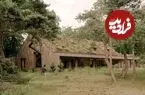 یک ساختمان اداری جنگلی و جذاب که روی سقفش علف سبز شده است