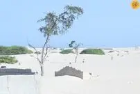 (ویدئو) طوفان شن شهر ساحلی را بلعید