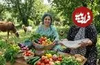 ببینید| غذای روستایی در ایران؛ کباب کردن ماهی قزل آلا روی آتش و پخت کیک با گلابی تازه