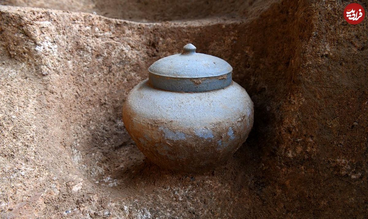 کشف «گنج کوچک سکههای چینی» در خرابههای پادشاهی «پسر سوسانو»