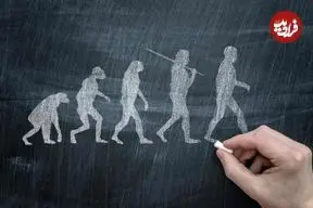 چرا انسان دم ندارد؟