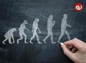 چرا انسان دم ندارد؟