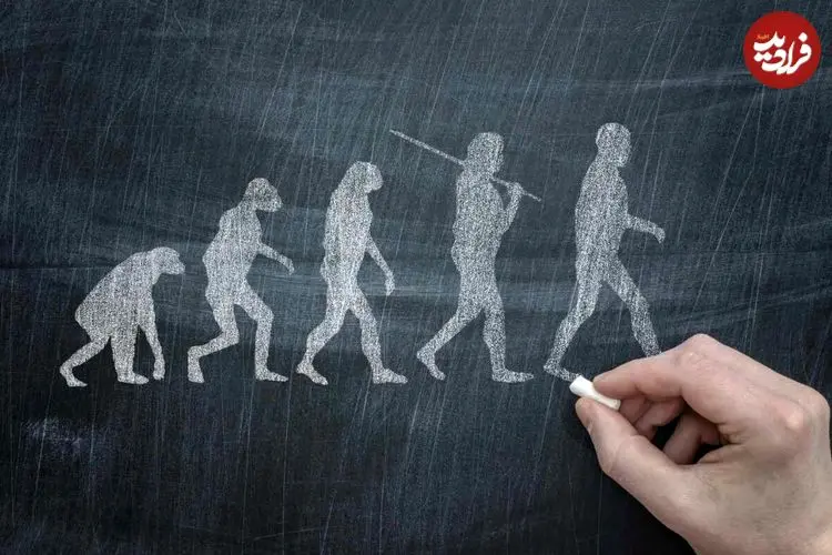 چرا انسان دم ندارد؟