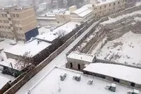 ببینید؛ بارش برف، شهروندان کرج را ذوق‌زده کرد