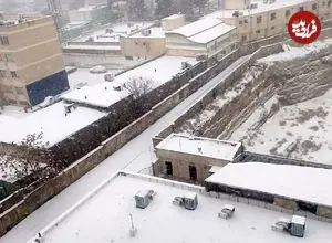 ببینید؛ بارش برف، شهروندان کرج را ذوق‌زده کرد