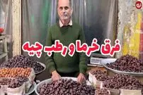 (ویدئو) معرفی انواع خرما؛ اسم بعضی از این خرماها را نشنیده اند!