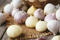 ( عکس) سیر تک‌حبه‌ای که احتمالا درباره آن چیزی نمی‌دانید