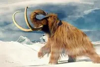 پروژه مخفیانه بازسازی یک DNA که جهان را شوکه کرد | حل معمای کدهای ژنتیکی ۴ هزار ساله ماموت های پشمالو