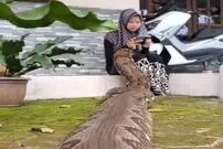 (ویدیو) واکنش باورنکردنی دختر جوان به خزیدن مار غول‌پیکر روی پاهایش