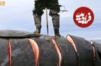 ببینید؛ مراحل صید و برش زدن نهنگ غول پیکر در ژاپن 