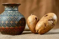 عکس| راز امنیت غذایی اینکاها؛ کشف سیب‌زمینی‌های خشک‌شده ۵۰۰ ساله در پرو