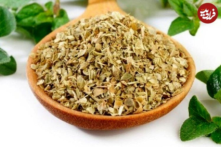 معرفی ادویه اورگانو و خواص آن