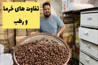 (ویدئو) تفاوت خارک، خرما و رطب چیست؟ 
