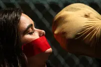 تصاویر| ۷ فیلم ترسناک سال ۲۰۲۶ که از Obsession بهتر هستند؛ از Hokum تا Faces of Death