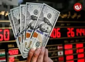 پیش بینی یک اقتصاددان درباره قیمت دلار تا پایان سال؛ کف قیمت دلار چه عددی خواهد بود؟
