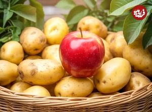 چطور سیب از خراب شدن سیب زمینی جلوگیری می‌کند؟