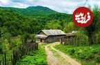 عکس| سفر به تاریخ؛ منظرۀ یک روستا در گیلان در دوران قاجار