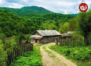 عکس| سفر به تاریخ؛ منظرۀ یک روستا در گیلان در دوران قاجار