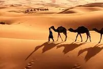 این بیابان بی‌آب و علف به سرزمینی سرسبز تبدیل می‌شود