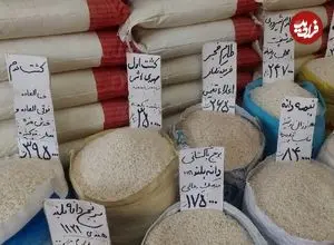زنگ خطر در بازار؛ برنج به مرز ۶۰۰ هزار تومان رسید؟