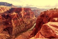 تصاویر؛ یک اکتشاف بزرگ در اعماق ۵۰۰ میلیون‌ساله