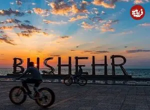 عکس| سفر زمان؛ یک کاروان و بارهایش در جادۀ بوشهر؛ 140 سال قبل