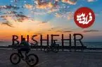 عکس| سفر زمان؛ یک کاروان و بارهایش در جادۀ بوشهر؛ 140 سال قبل