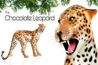 ببینید| مراحل ساخت یک پلنگ زیبا با 81 کیلوگرم شکلات 