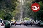 عکس| سفر به تهران قدیم؛ نمایی از خیابان فلسطین در سال 1354
