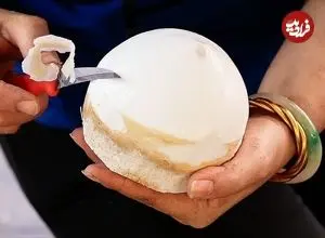 ببینید| غذای خیابانی در تایلند؛ هنر فروشنده های خیابانی در برش زدن نارگیل در بانکوک