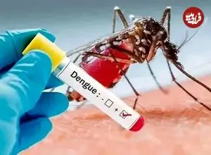 افزایش حدود ۱۰ برابری ابتلا به تب دنگی در یک ماه