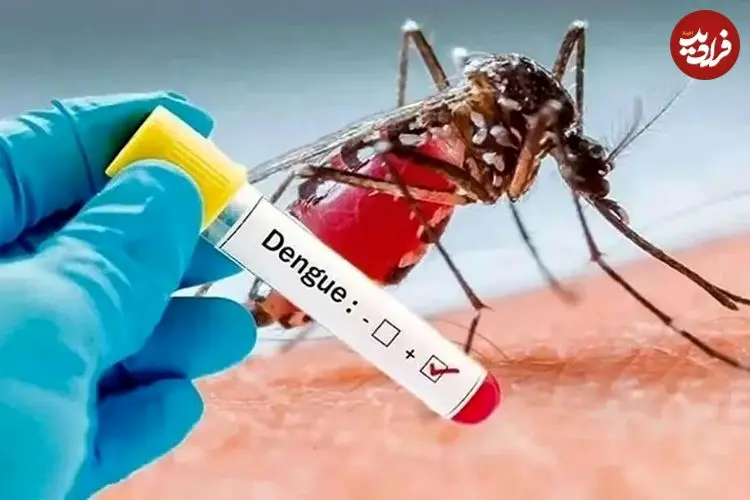 افزایش حدود ۱۰ برابری ابتلا به تب دنگی در یک ماه