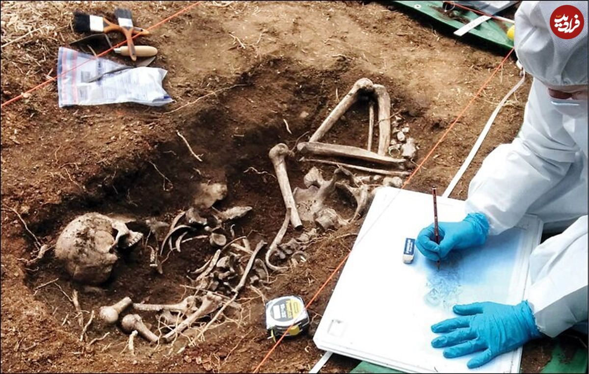 کشف حقیقت در باستان‌شناسی جنایی؛ باستان‌شناسی جنایی چیست؟