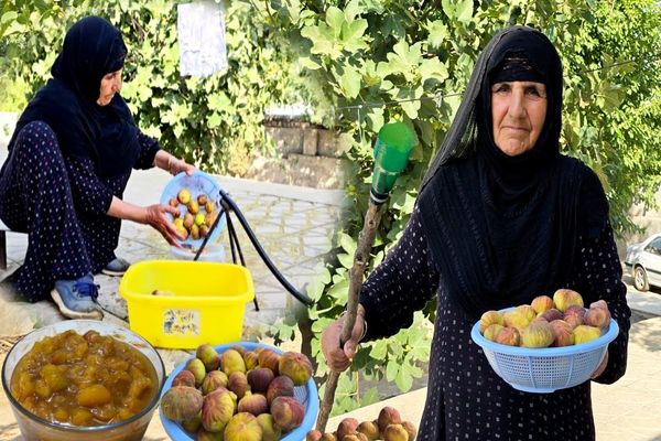 ببینید؛ غذای روستایی در ایلام؛ برداشت انجیر و تهیه مربا