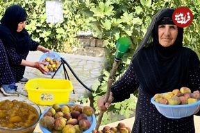 ببینید؛ غذای روستایی در ایلام؛ برداشت انجیر و تهیه مربا