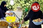 ببینید؛ غذای روستایی در ایلام؛ برداشت انجیر و تهیه مربا