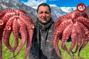 ببینید| غذای روستایی در آذربایجان؛ پخت یک غذای خاص با اختاپوس در یک روستای بهشتی