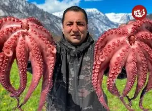 ببینید| غذای روستایی در آذربایجان؛ پخت یک غذای خاص با اختاپوس در یک روستای بهشتی