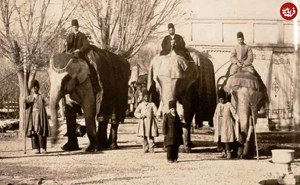 سفر به تهران قدیم؛ بازارچه سنگلج و ماجرای جهازبرون دختر شاه با فیل