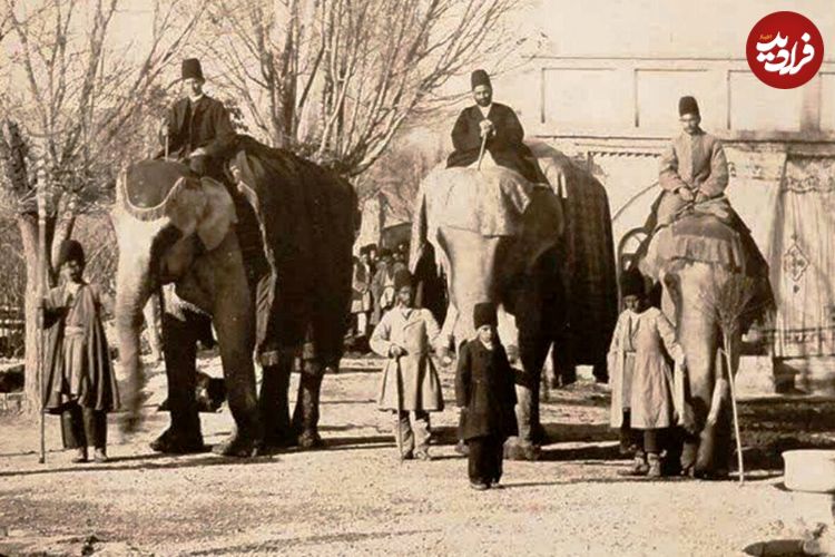 سفر به تهران قدیم؛ بازارچه سنگلج و ماجرای جهازبرون دختر شاه با فیل